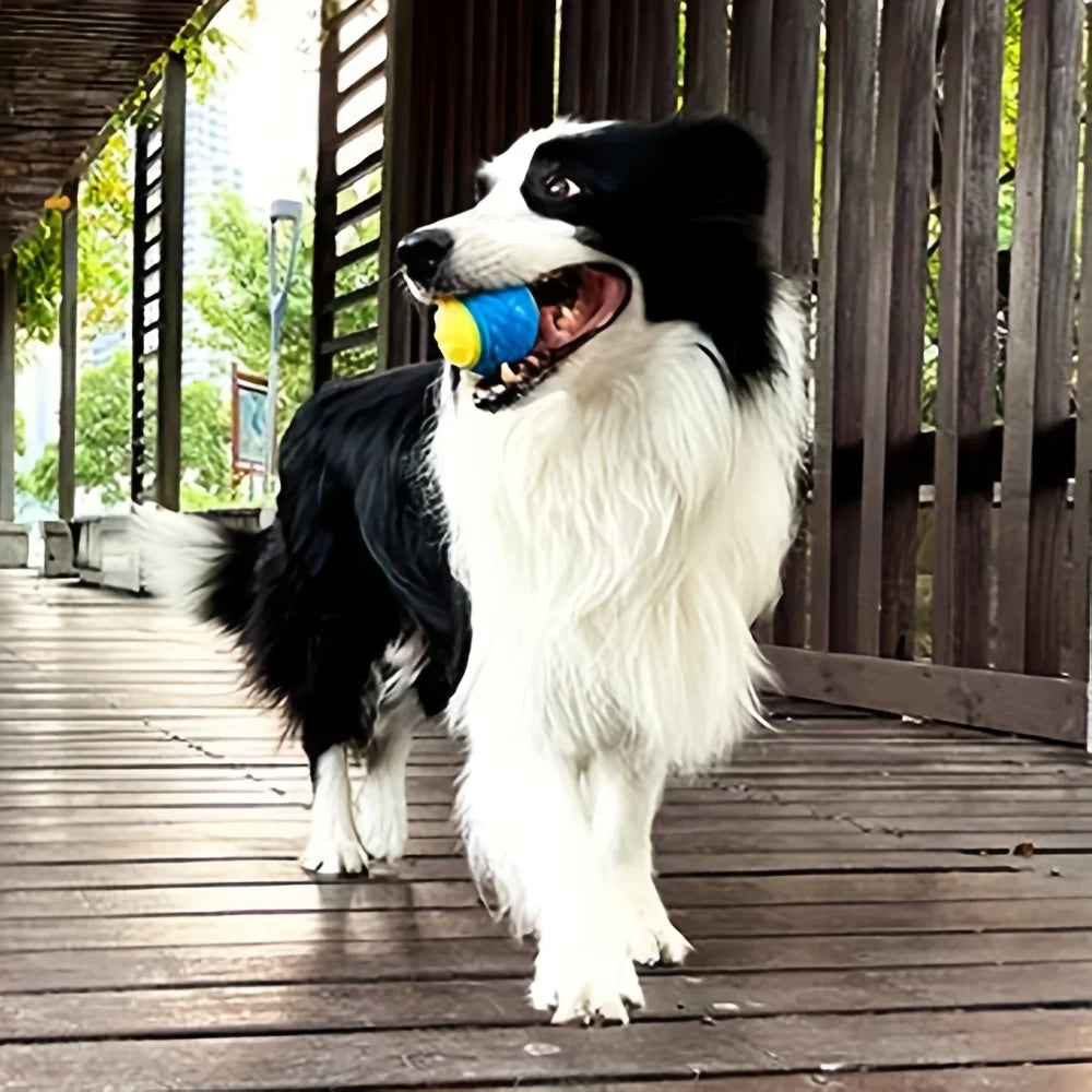 Tough Chew Ball for Dogs