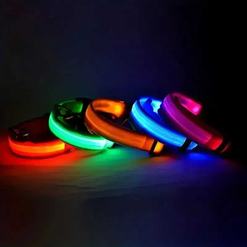 Nylon LED Night Safety Flashing Dog Leash