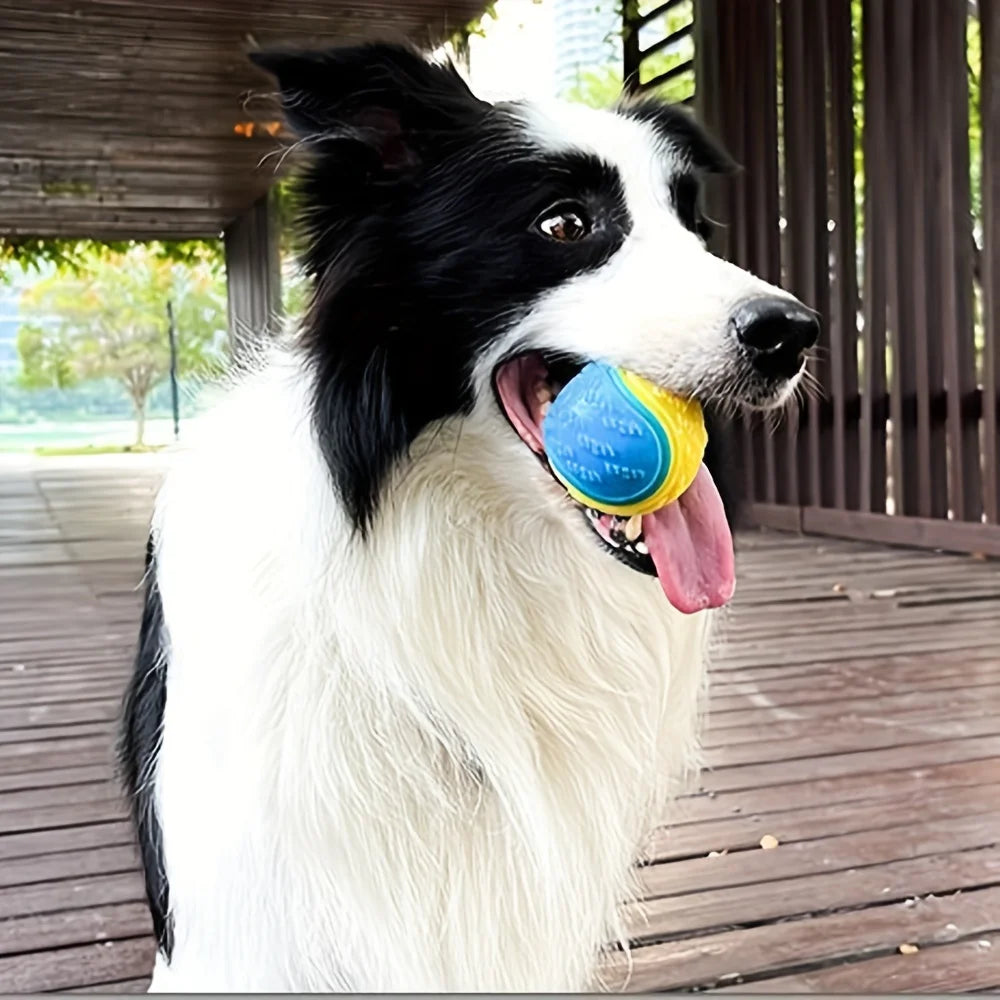 Tough Chew Ball for Dogs