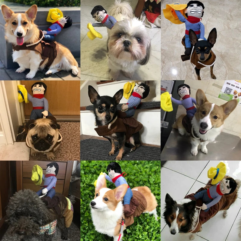 Dog Party Costume