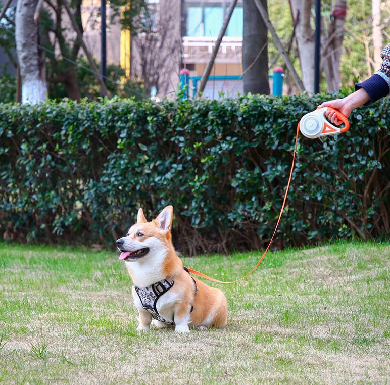 Retractable Dog Leash with LED Flashlight