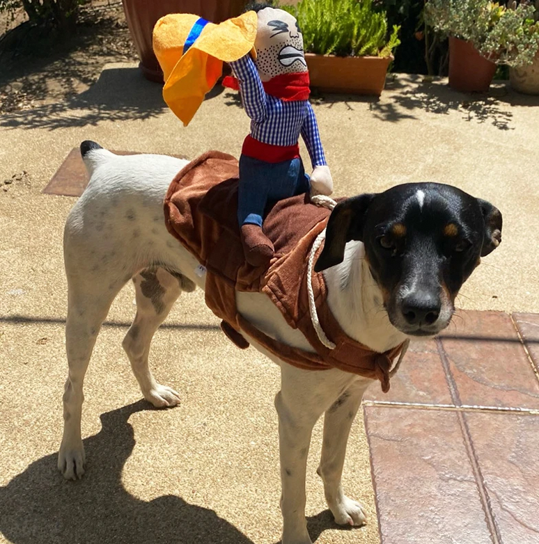 Dog Party Costume