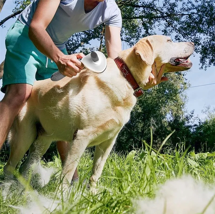 Self-Cleaning Pet Grooming Brush